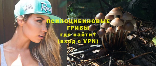 эйфоретик Горняк