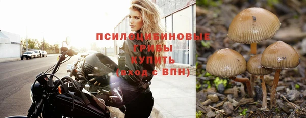 герыч Гусь-Хрустальный