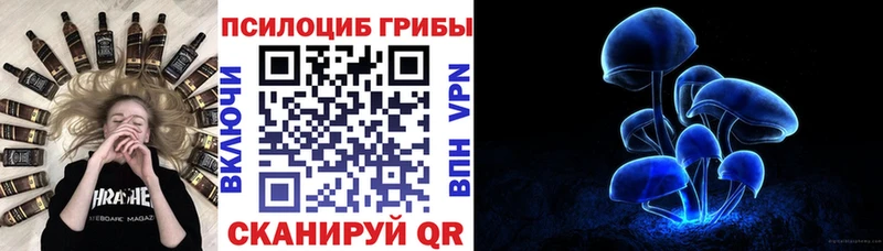 сколько стоит  Печоры  Псилоцибиновые грибы ЛСД 